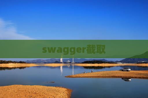 swagger截取