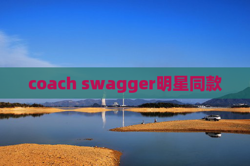 coach swagger明星同款